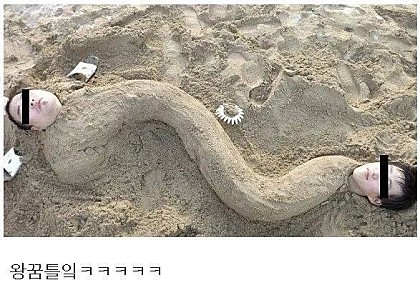 포스트의 이미지