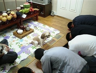 포스트의 이미지