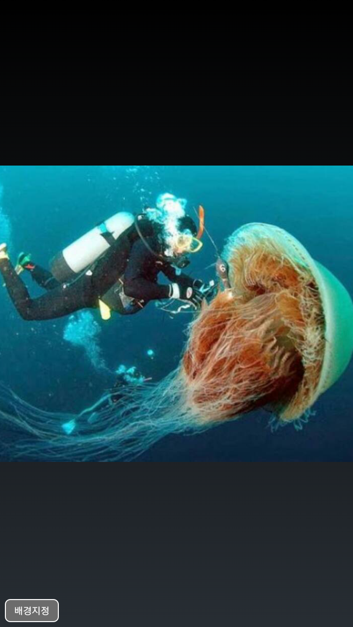 포스트의 이미지