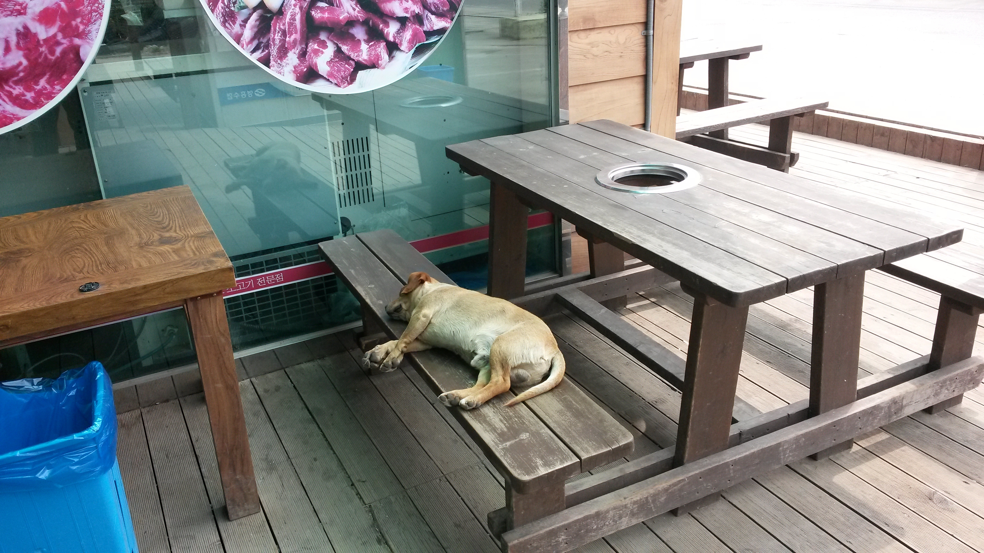 포스트의 이미지