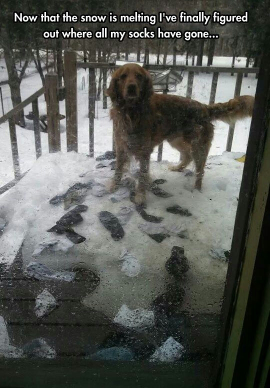 포스트의 이미지