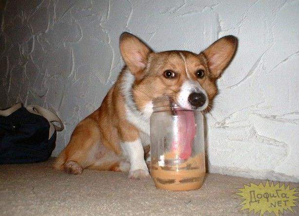 포스트의 이미지