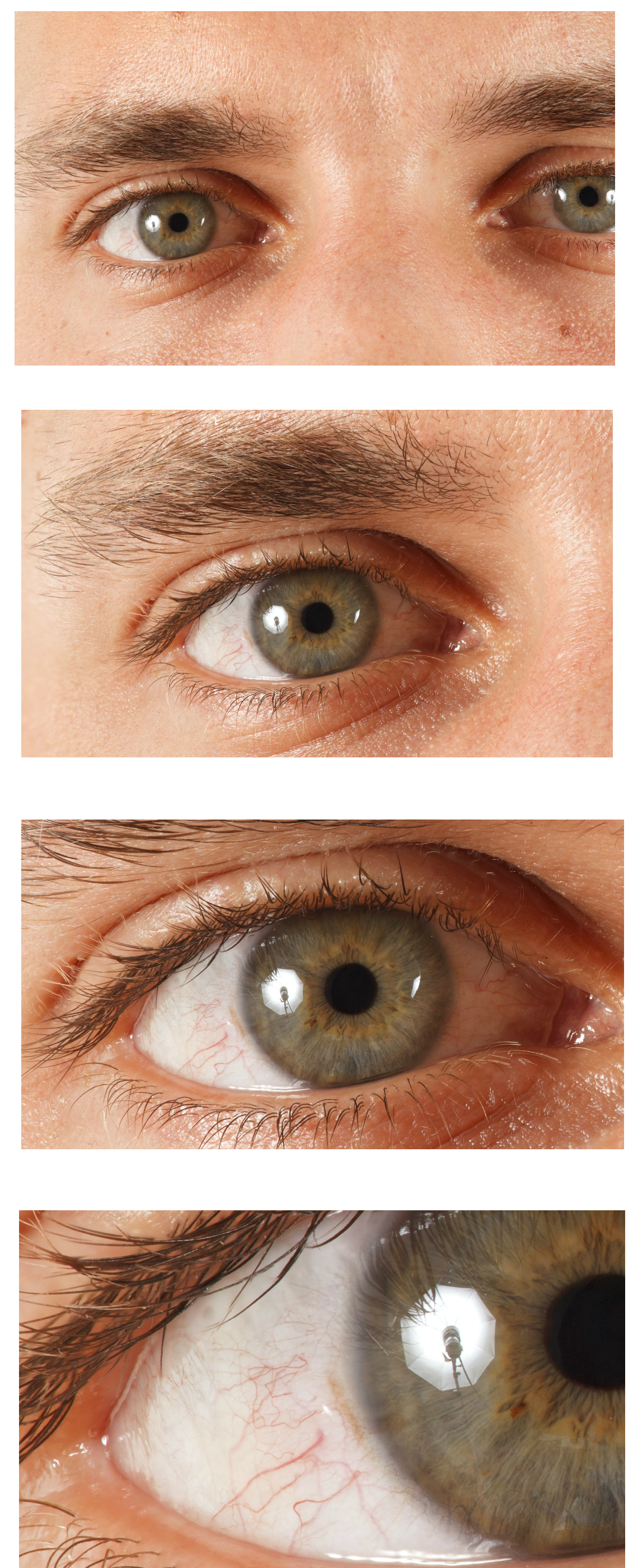 포스트의 이미지