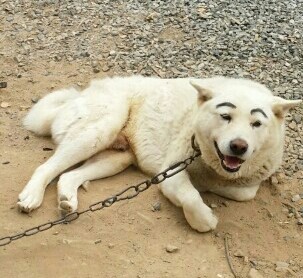 눈썹문신했어요