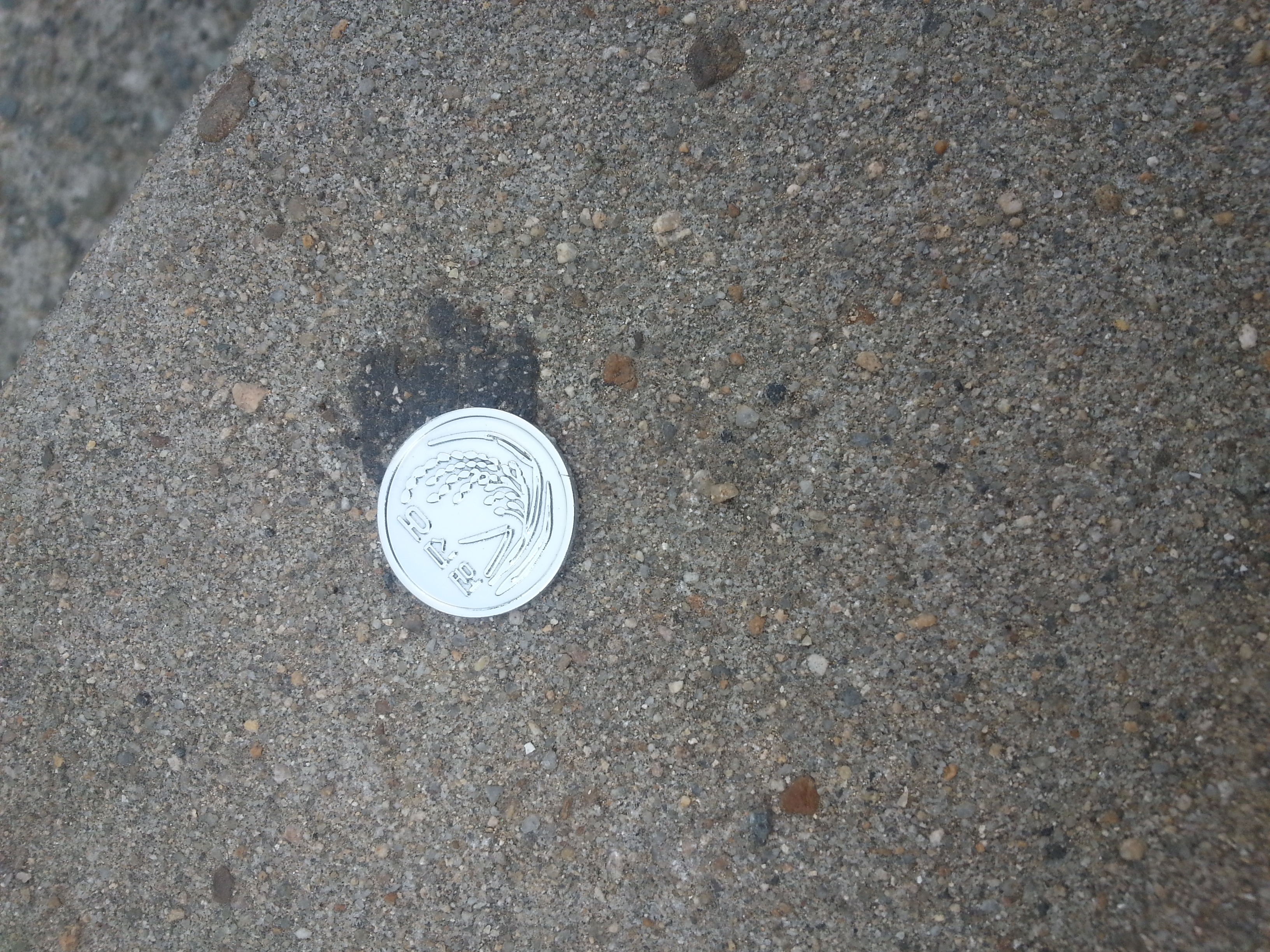 포스트의 이미지