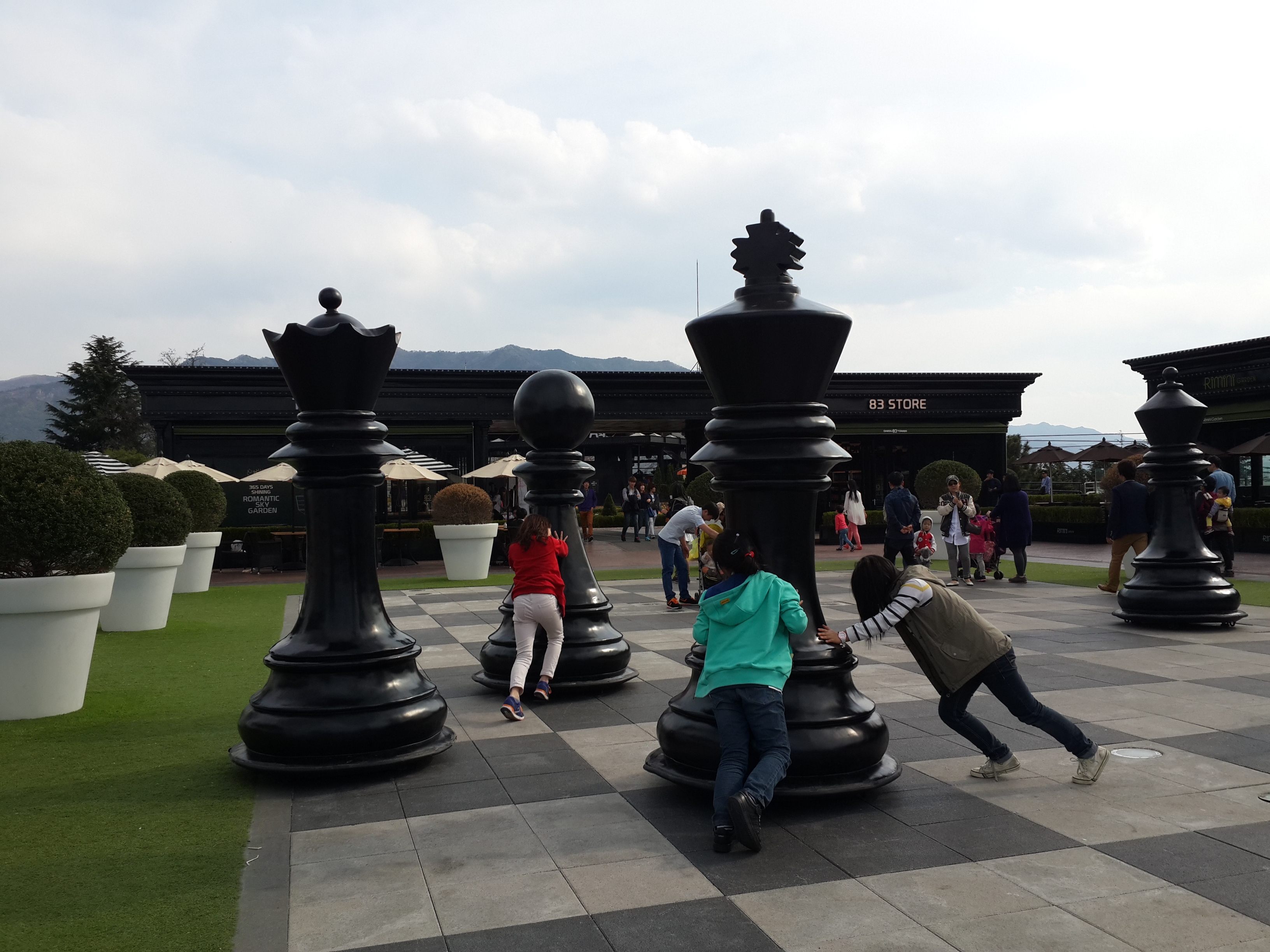 체스두기가 이렇게 힘들어서야..