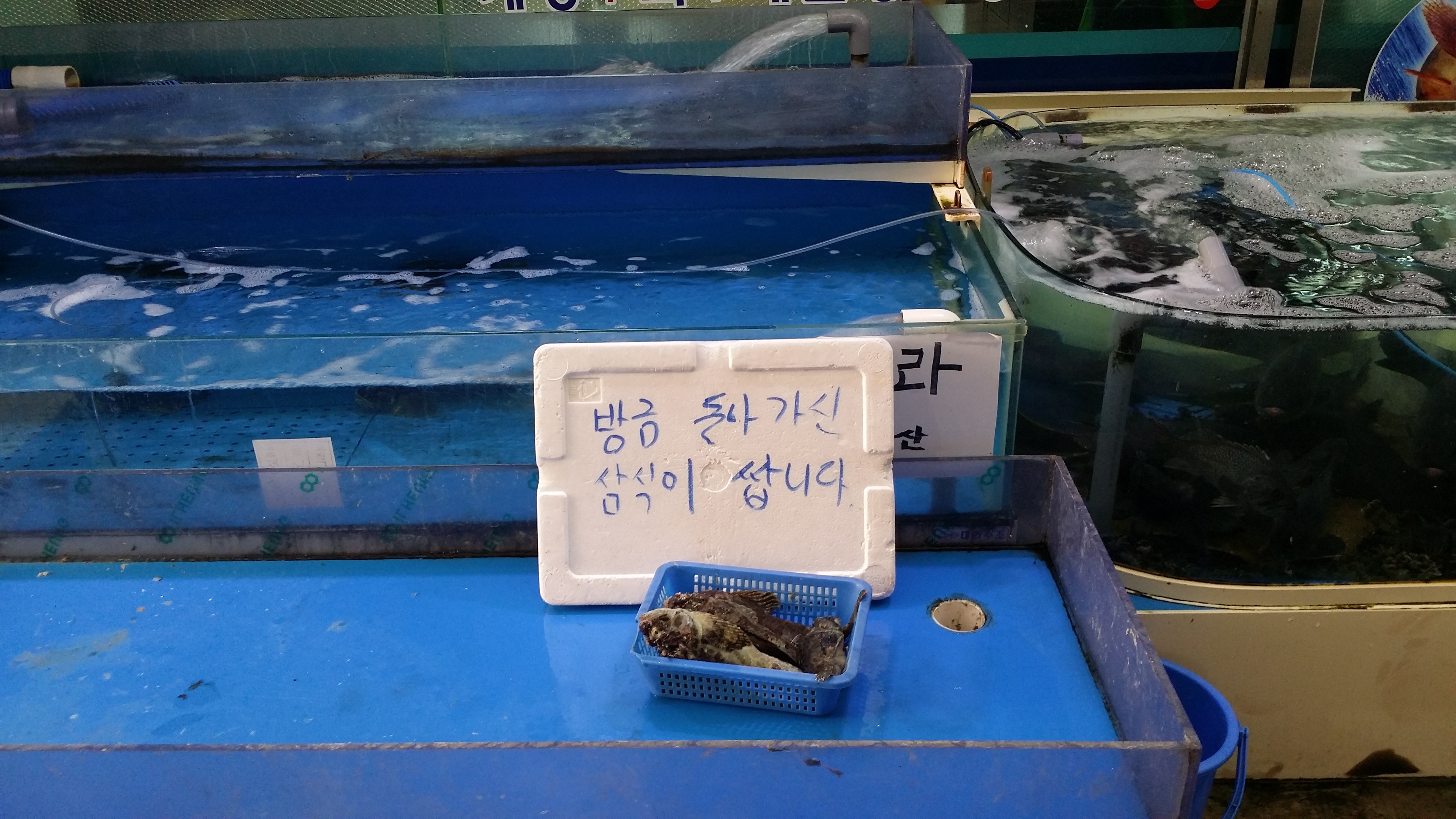 포스트의 이미지