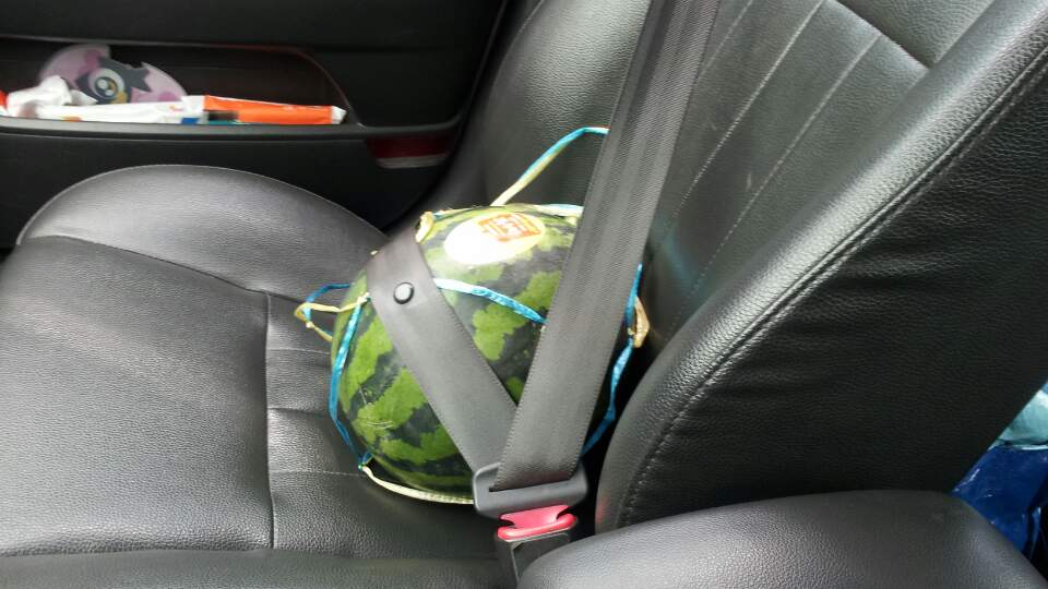 포스트의 이미지