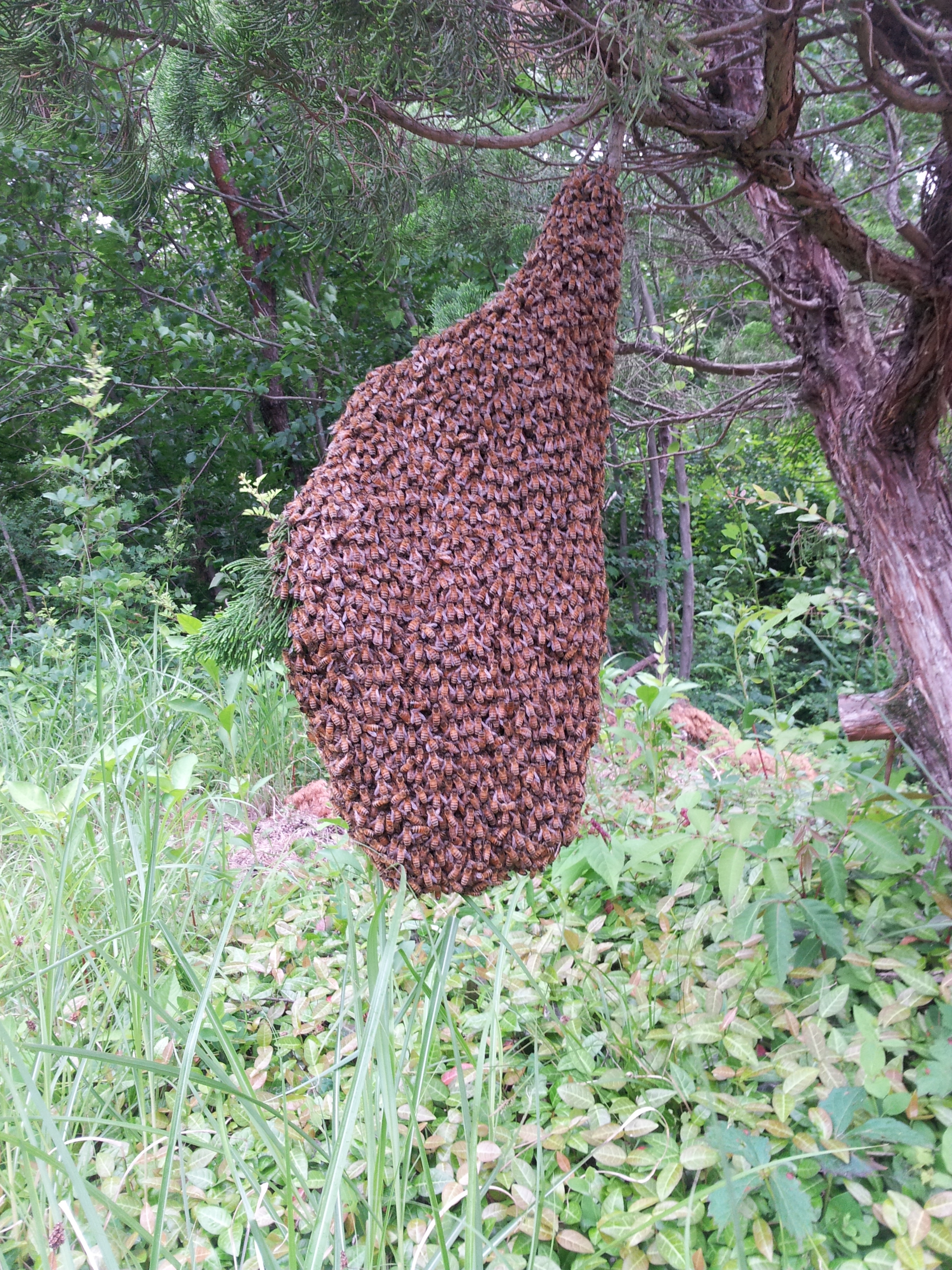 포스트의 이미지