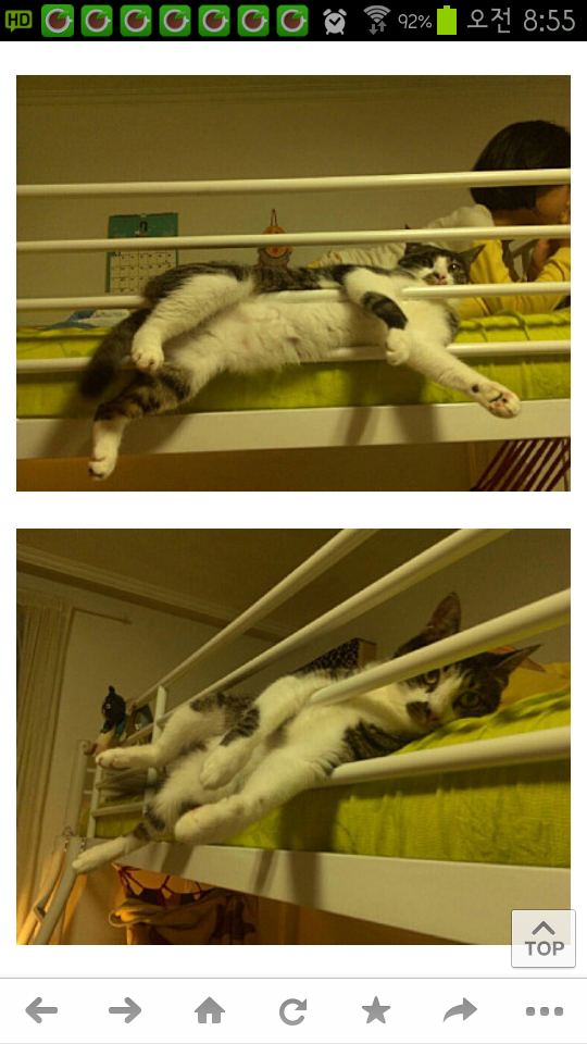 포스트의 이미지