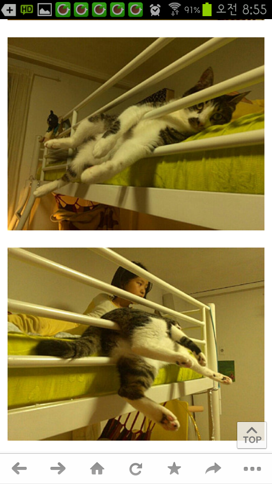 포스트의 이미지