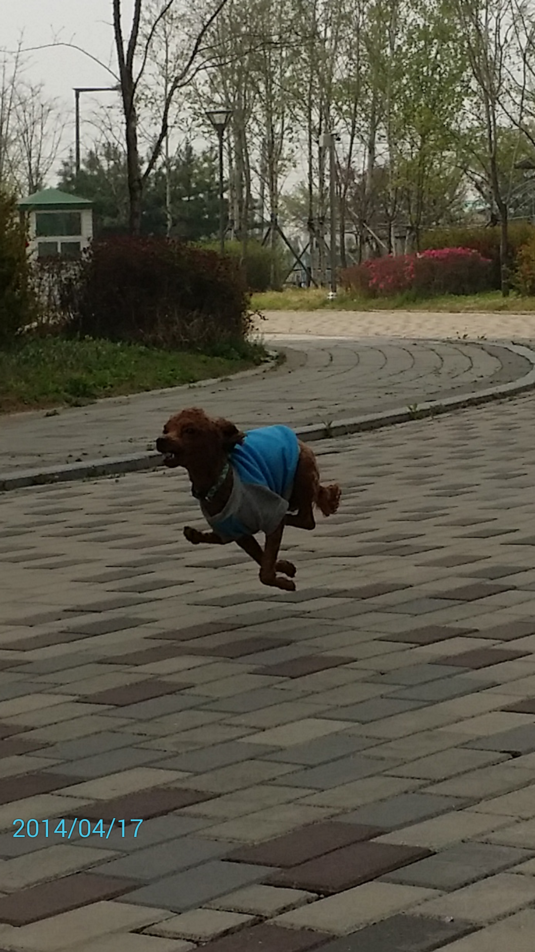 포스트의 이미지