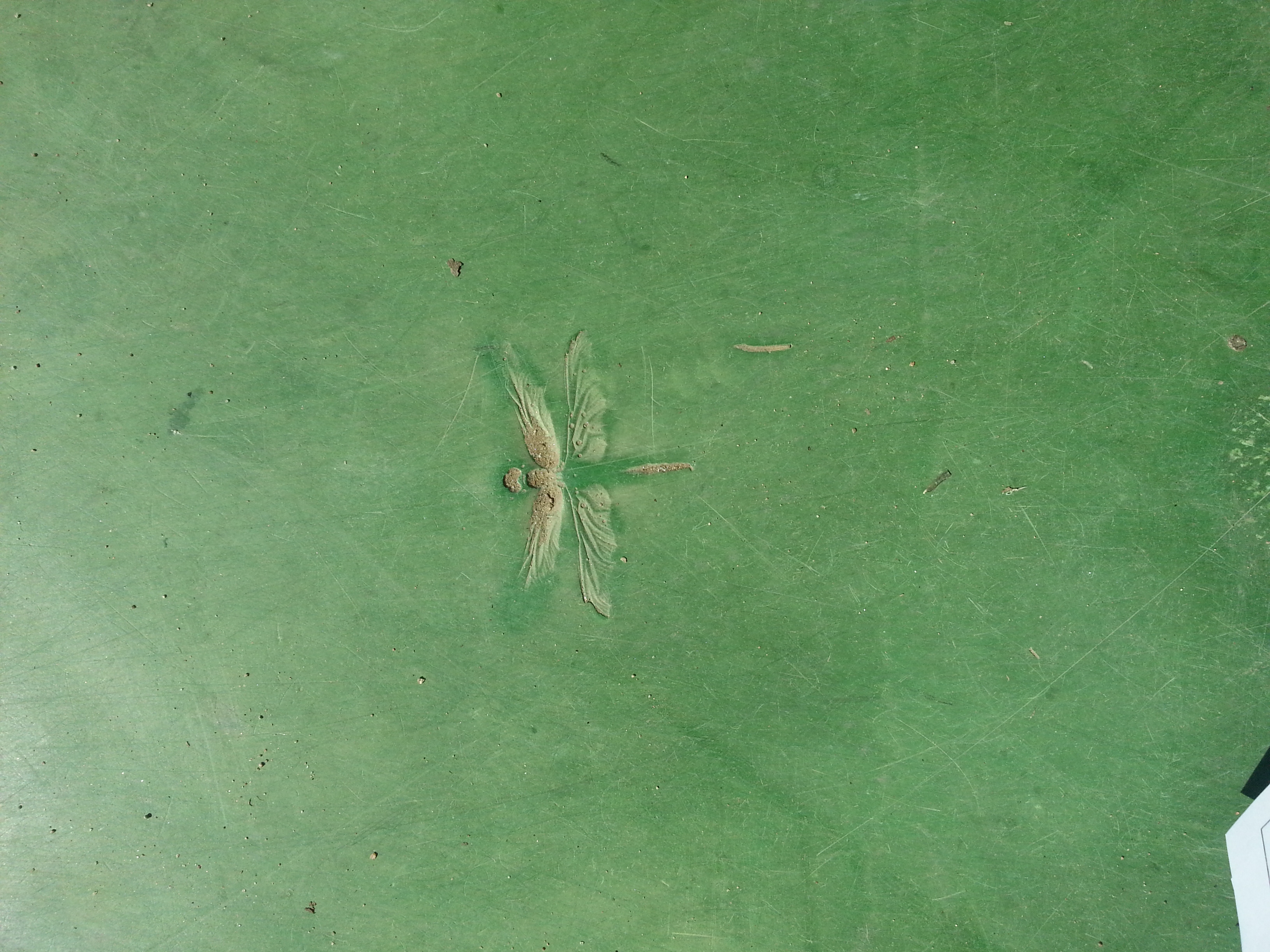 포스트의 이미지