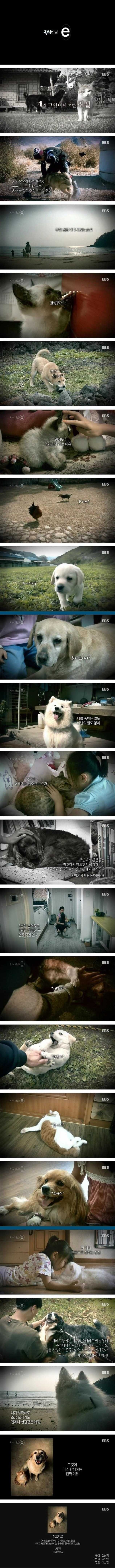 포스트의 이미지