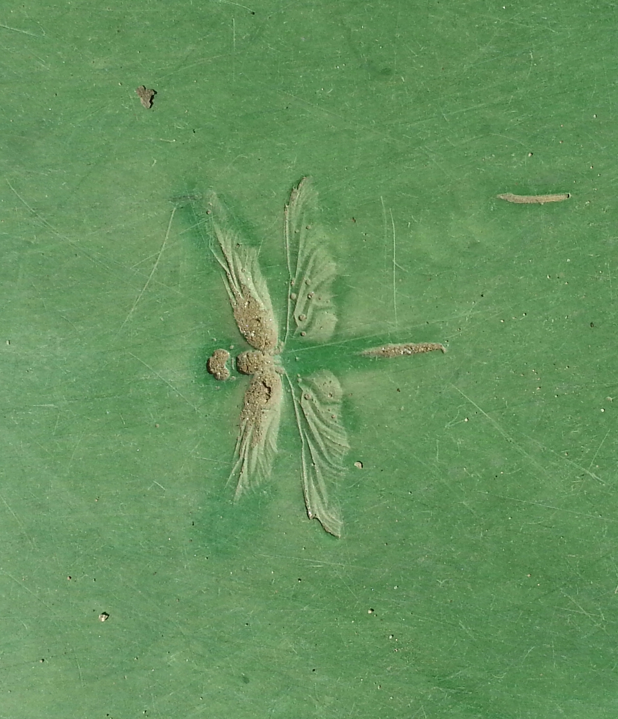 포스트의 이미지