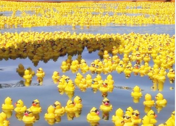 포스트의 이미지