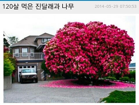 포스트의 이미지