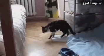 포스트의 이미지