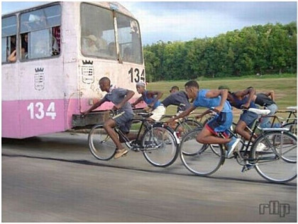 포스트의 이미지