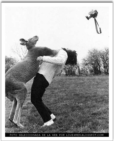 사진찍지마라 ㅡㅡ