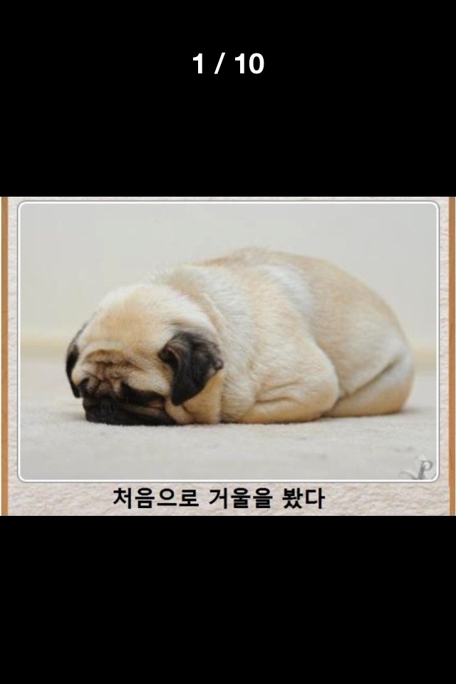 포스트의 이미지