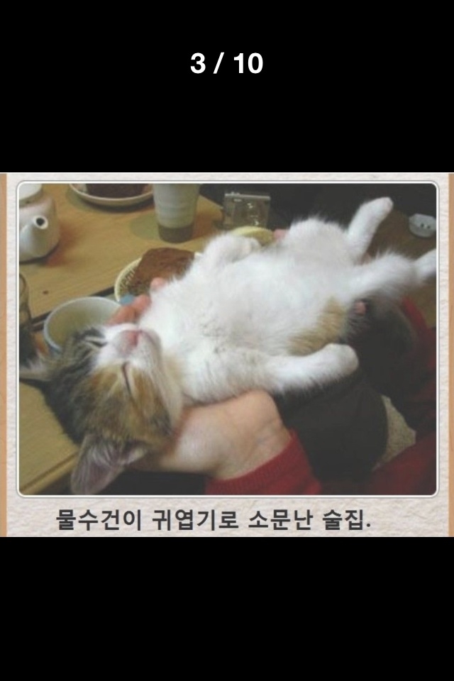 포스트의 이미지