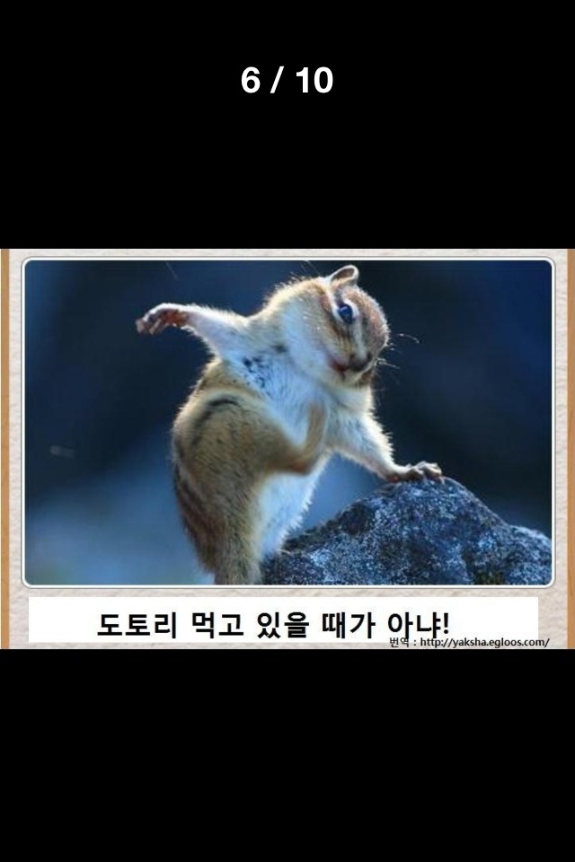 포스트의 이미지