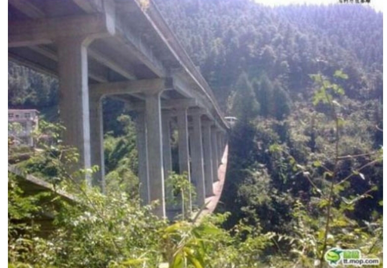 포스트의 이미지