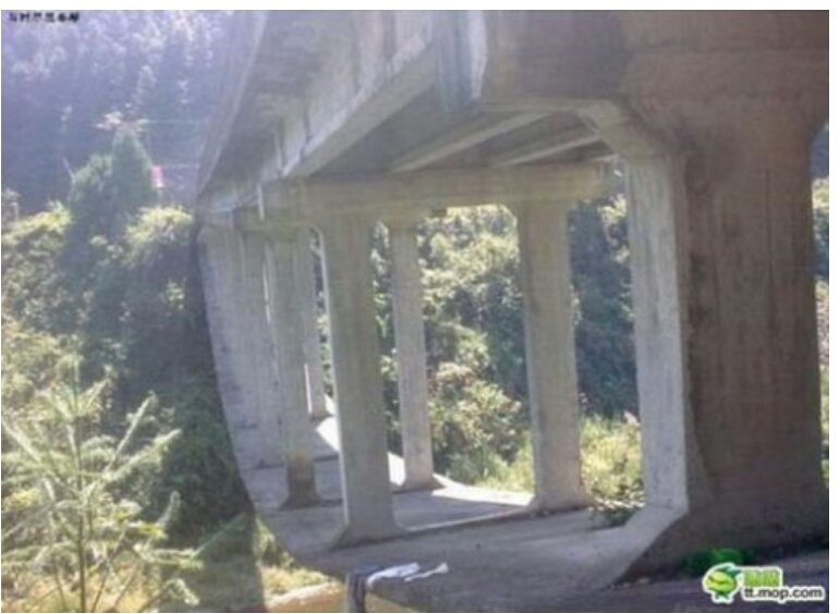 포스트의 이미지