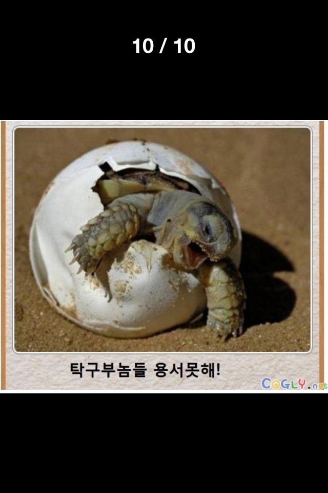 포스트의 이미지