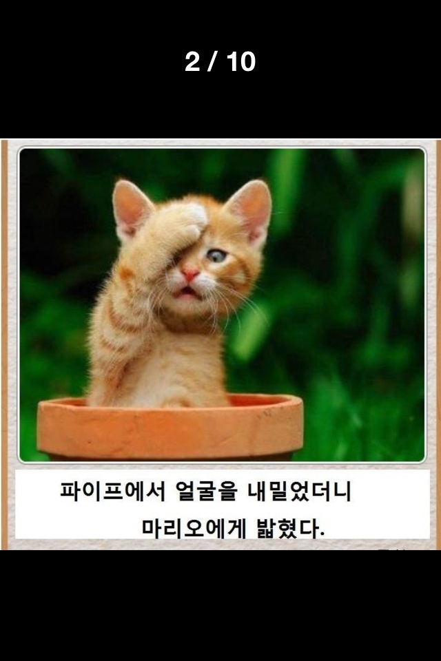 포스트의 이미지
