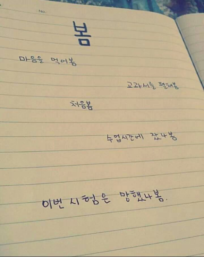 포스트의 이미지