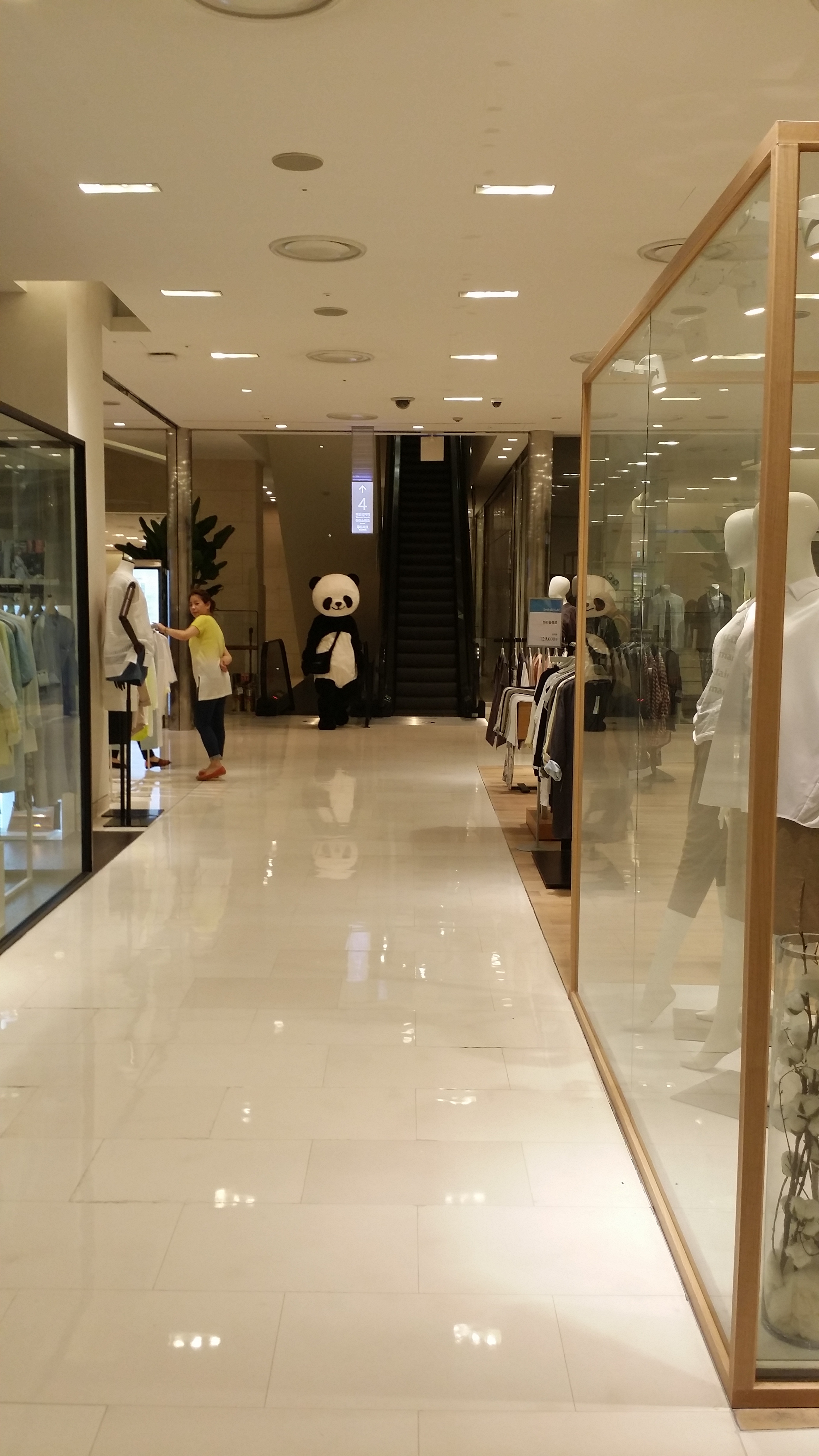 포스트의 이미지