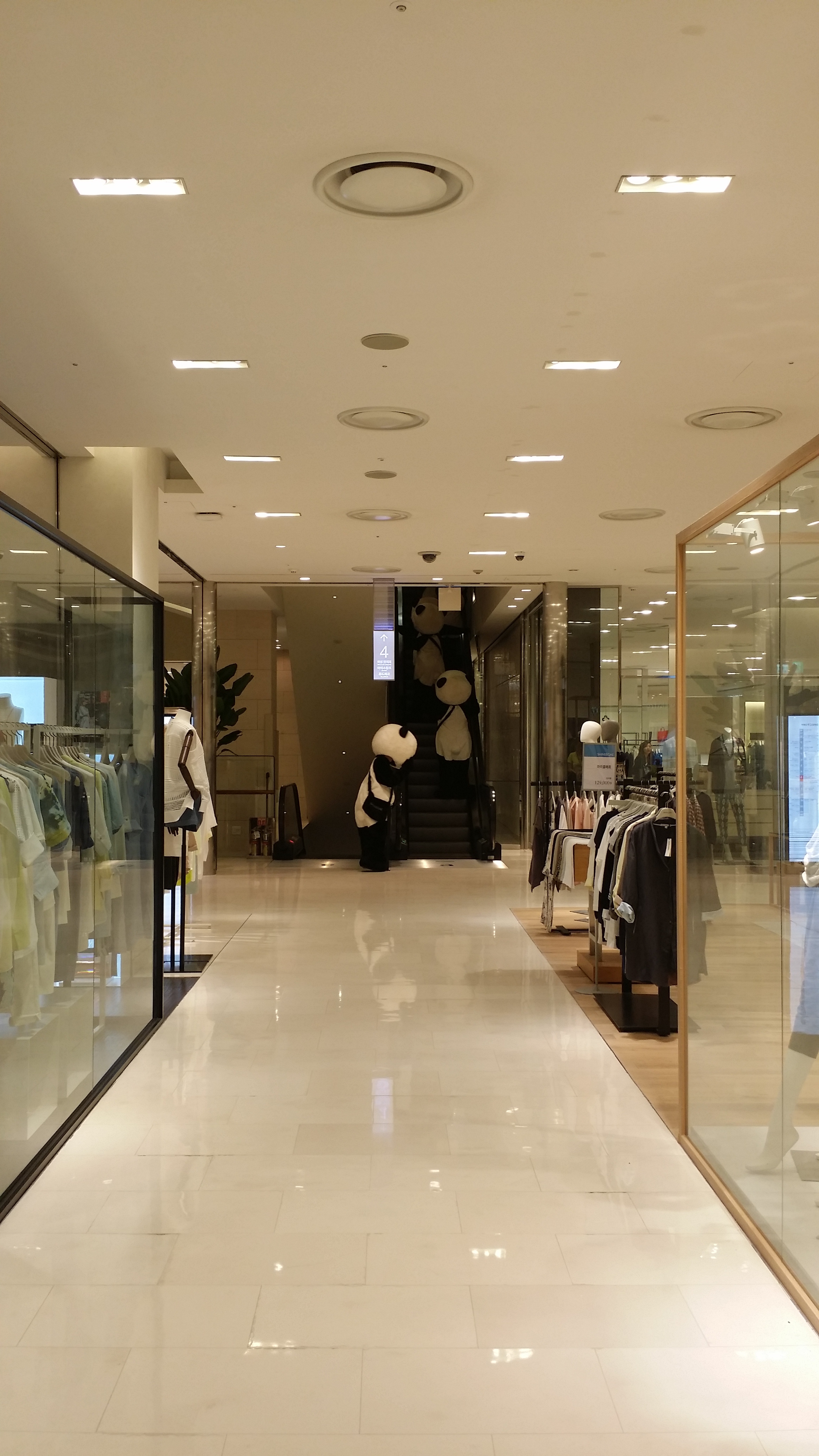 포스트의 이미지