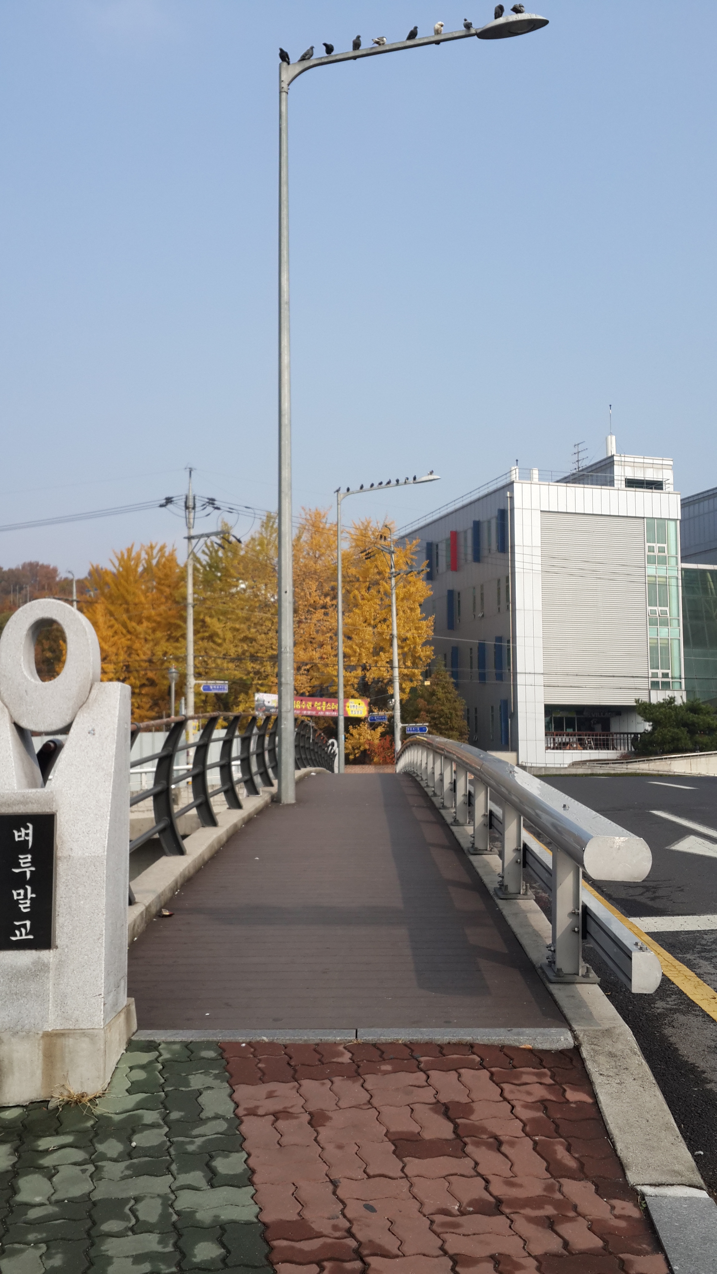 포스트의 이미지