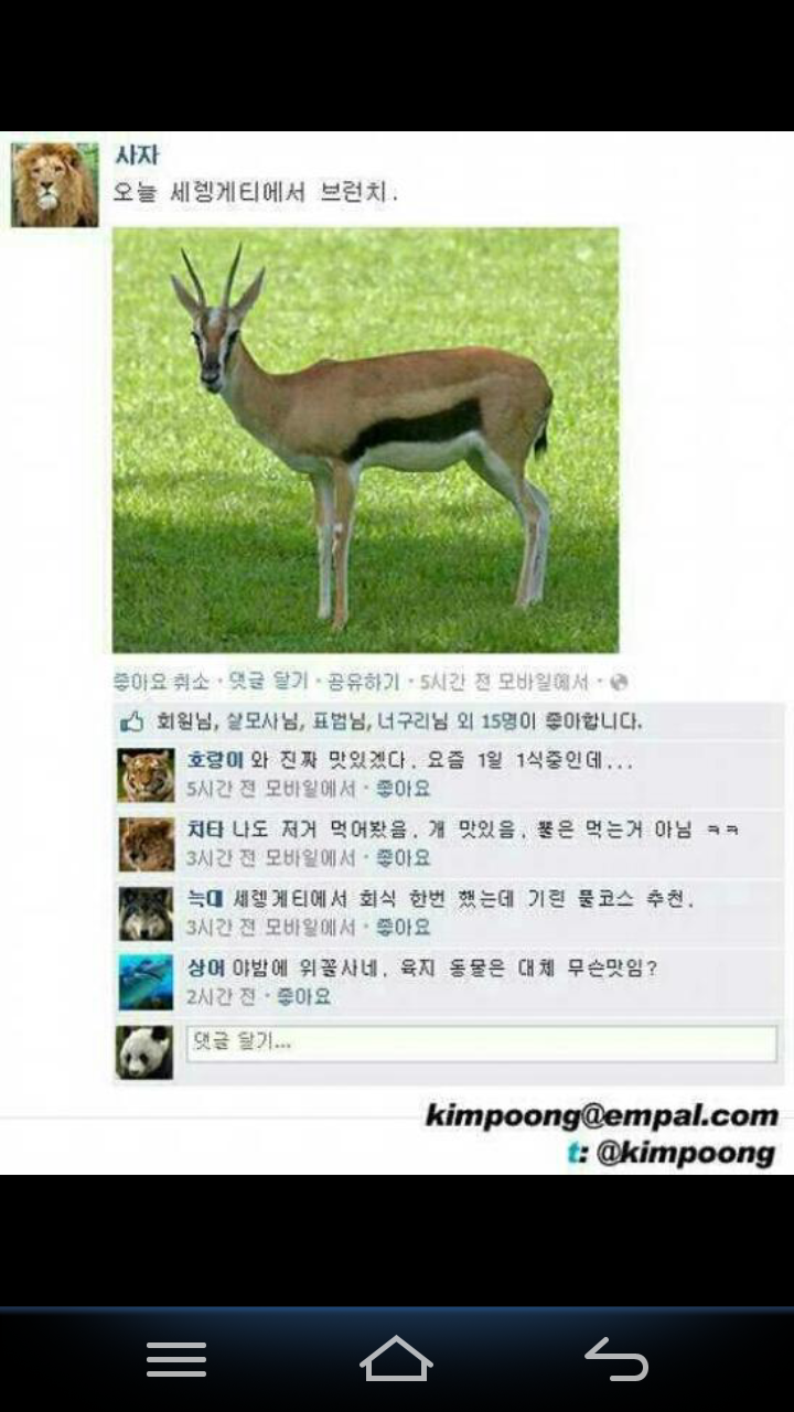 포스트의 이미지