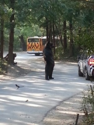 포스트의 이미지