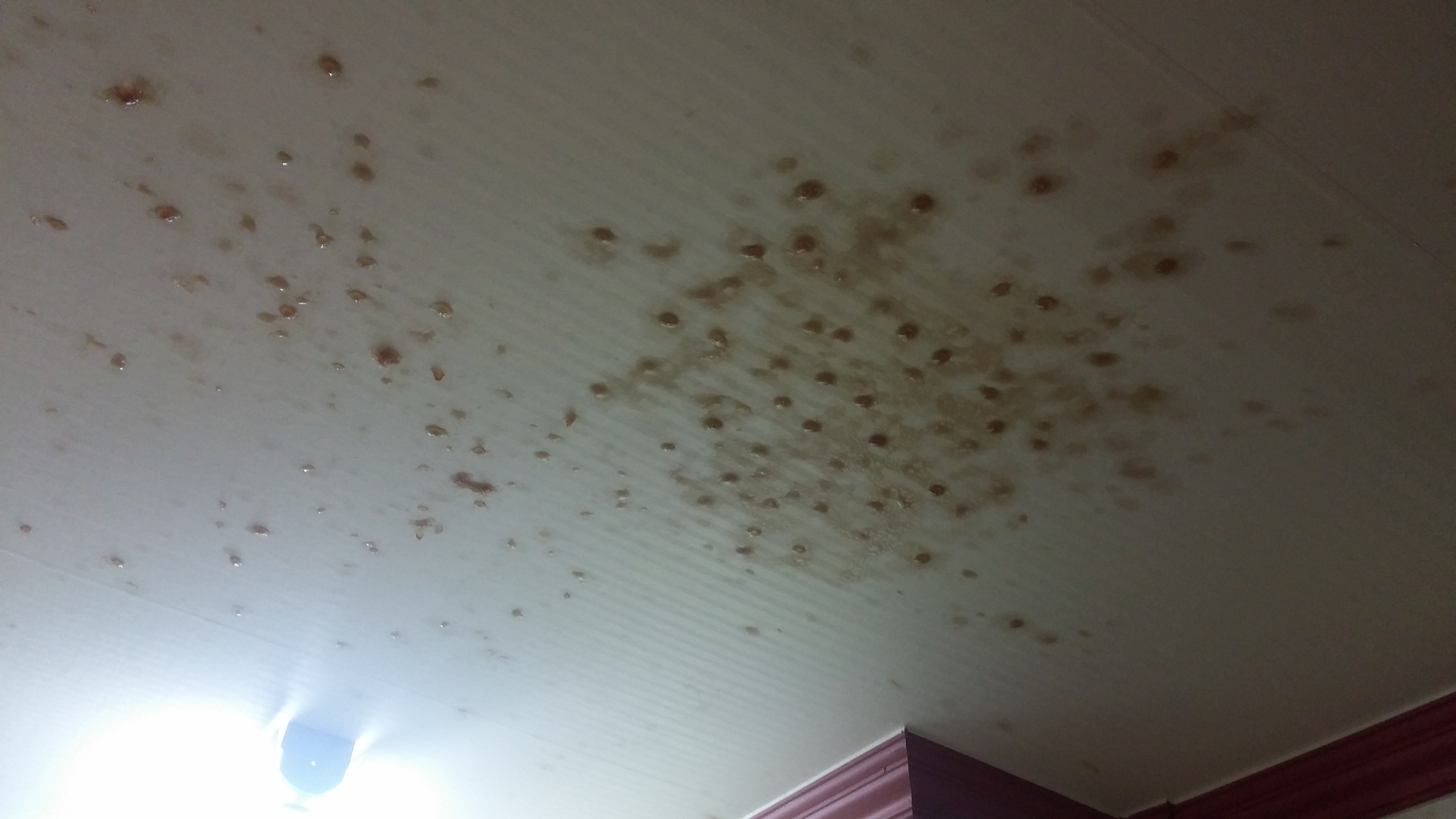 포스트의 이미지