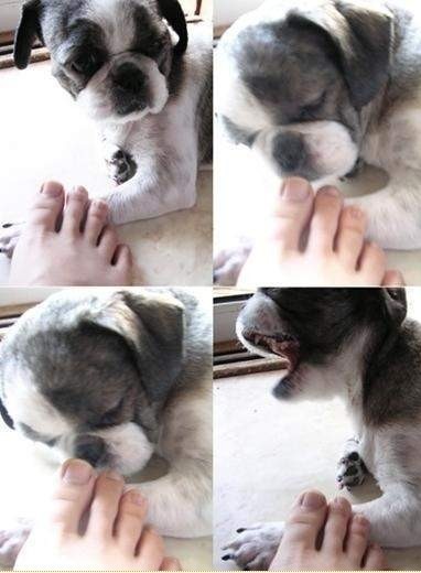 포스트의 이미지