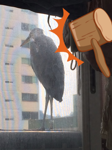 포스트의 이미지