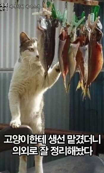 포스트의 이미지