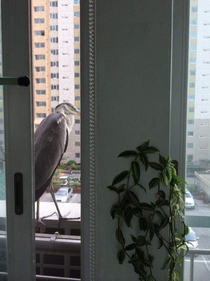 포스트의 이미지