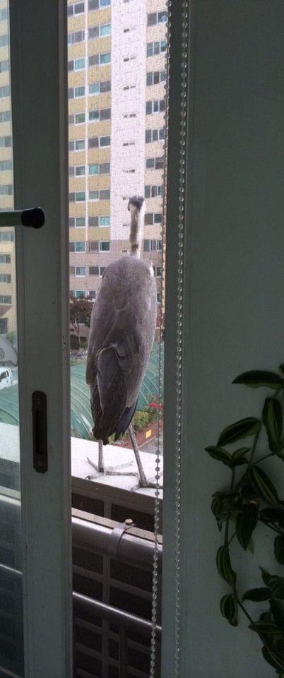 포스트의 이미지