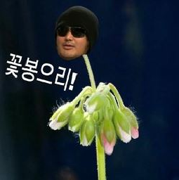 포스트의 이미지