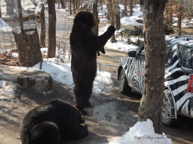 포스트의 이미지