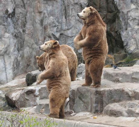 포스트의 이미지