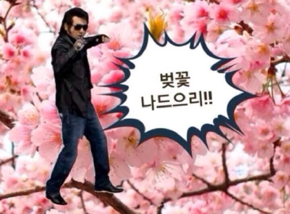 포스트의 이미지