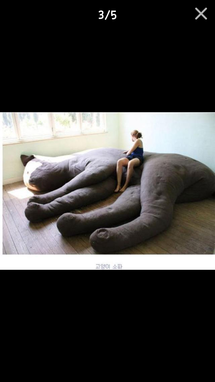 포스트의 이미지