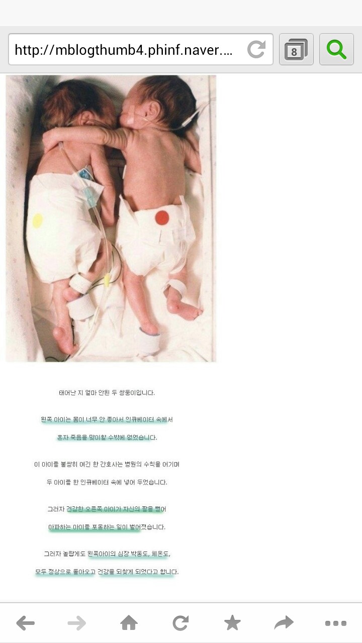 포스트의 이미지