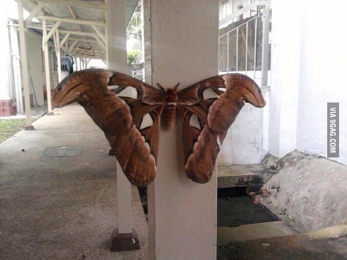 포스트의 이미지